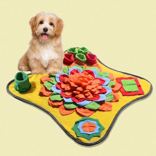 Interactive Snuffle Mat for Dogs & Cats đļđąđ§Šâ¨