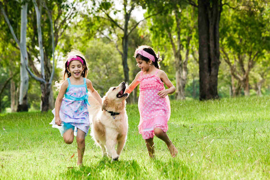 7 Daily Habits That Keep Your Dog Healthy & Happy