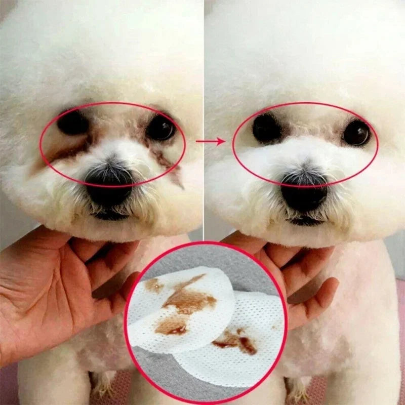 130PCS Pet Eye Cleaning Wipes & Tear Stain Remover 🐶🐱✨🧼