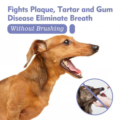 Pet Oral Care Spray – Fresh Breath & Teeth Cleaning 🐶🦷✨