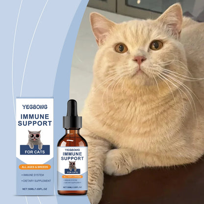 Cat Vitamin Care Drops – 50ml Daily Nutrition Supplement 🐱💧✨
