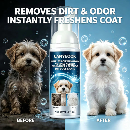🌿 Waterless Pet Dry Shampoo Foam 60ml – No Rinse