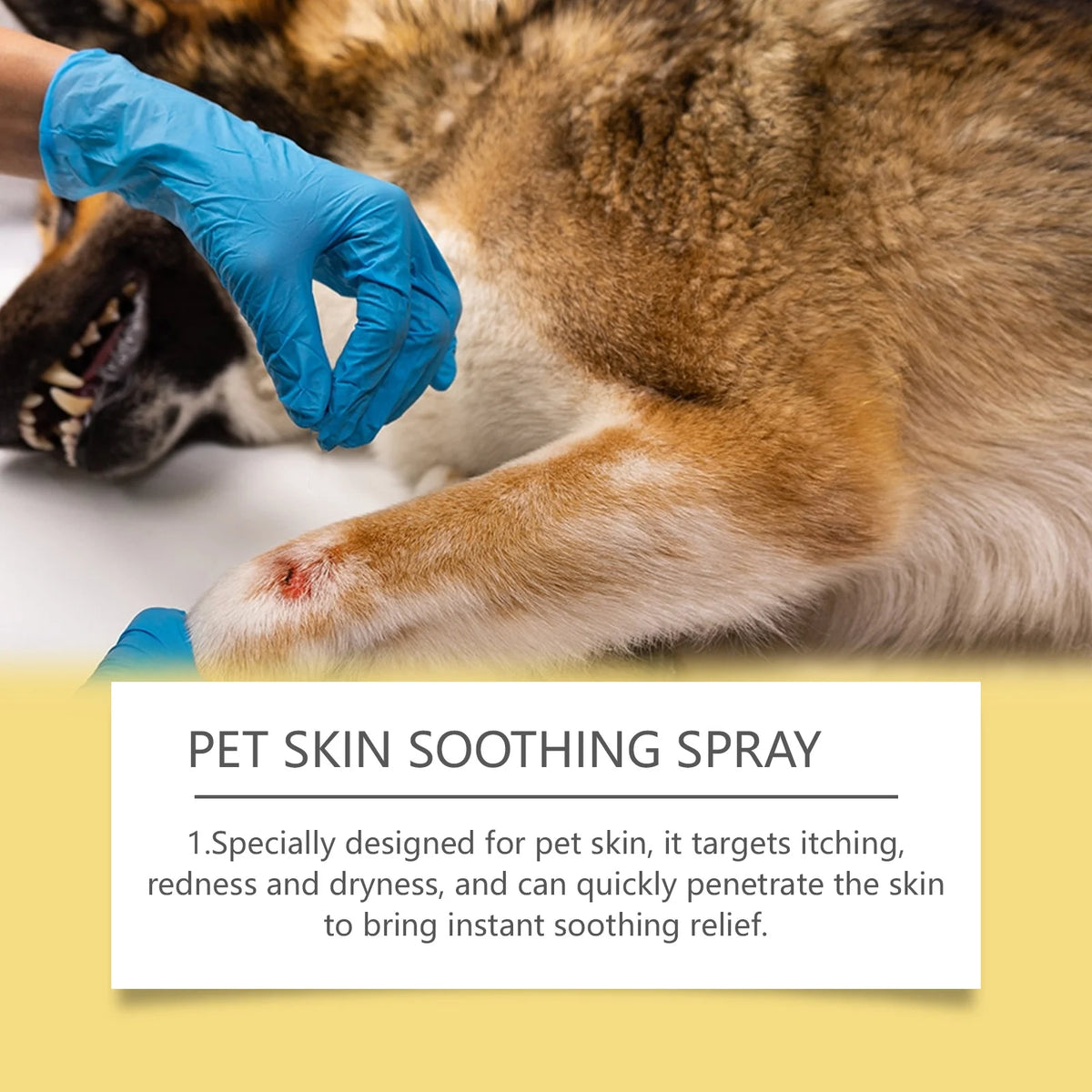 🛡️ Pet Skin Care Spray Flea & Itch Relief