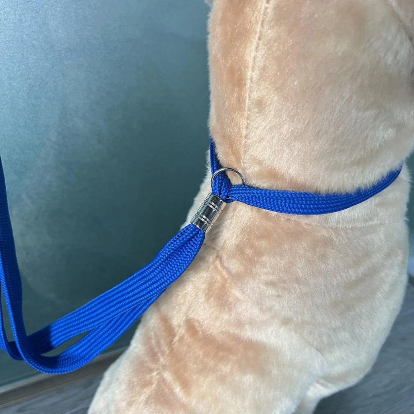 Adjustable Pet Grooming Loop & Bathing Restraint 🐶🐱🛁✨