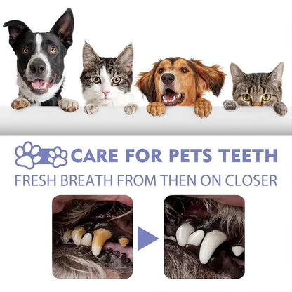 Pet Oral Care Spray – Fresh Breath & Teeth Cleaning 🐶🦷✨