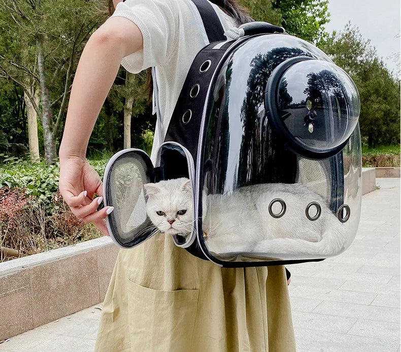 Portable Transparent Bubble Pet Carrier Backpack 🐱🎒✨