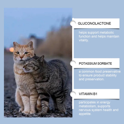 Cat Vitamin Care Drops – 50ml Daily Nutrition Supplement 🐱💧✨