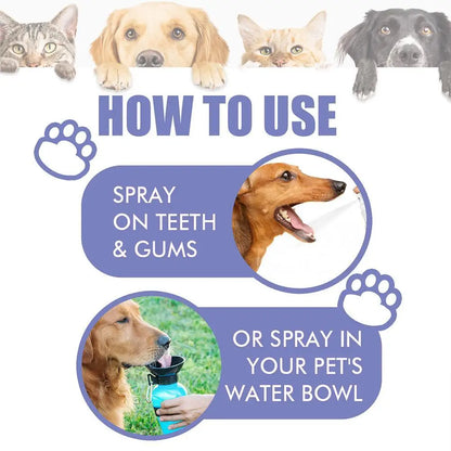 Pet Oral Care Spray – Fresh Breath & Teeth Cleaning 🐶🦷✨