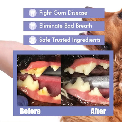 Pet Oral Care Spray – Fresh Breath & Teeth Cleaning 🐶🦷✨