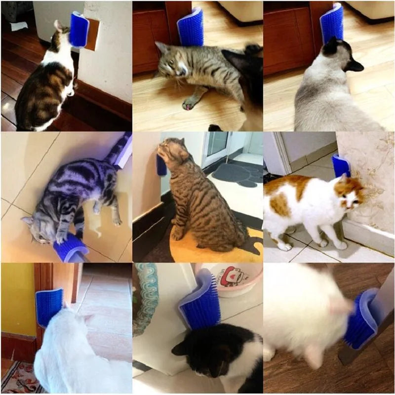 Cat Scratcher & Self-Grooming Massager Brush 🐱✨🪮