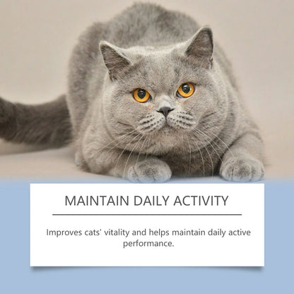 Cat Vitamin Care Drops – 50ml Daily Nutrition Supplement 🐱💧✨