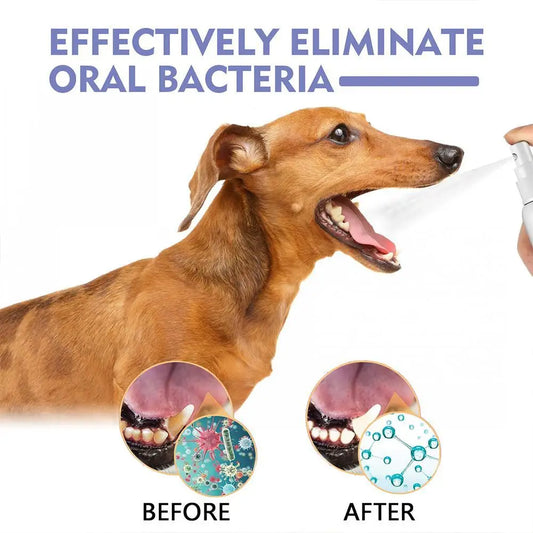 Pet Oral Care Spray – Fresh Breath & Teeth Cleaning 🐶🦷✨