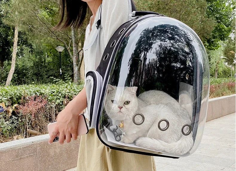 Portable Bubble Backpack for Cats & Small Pets