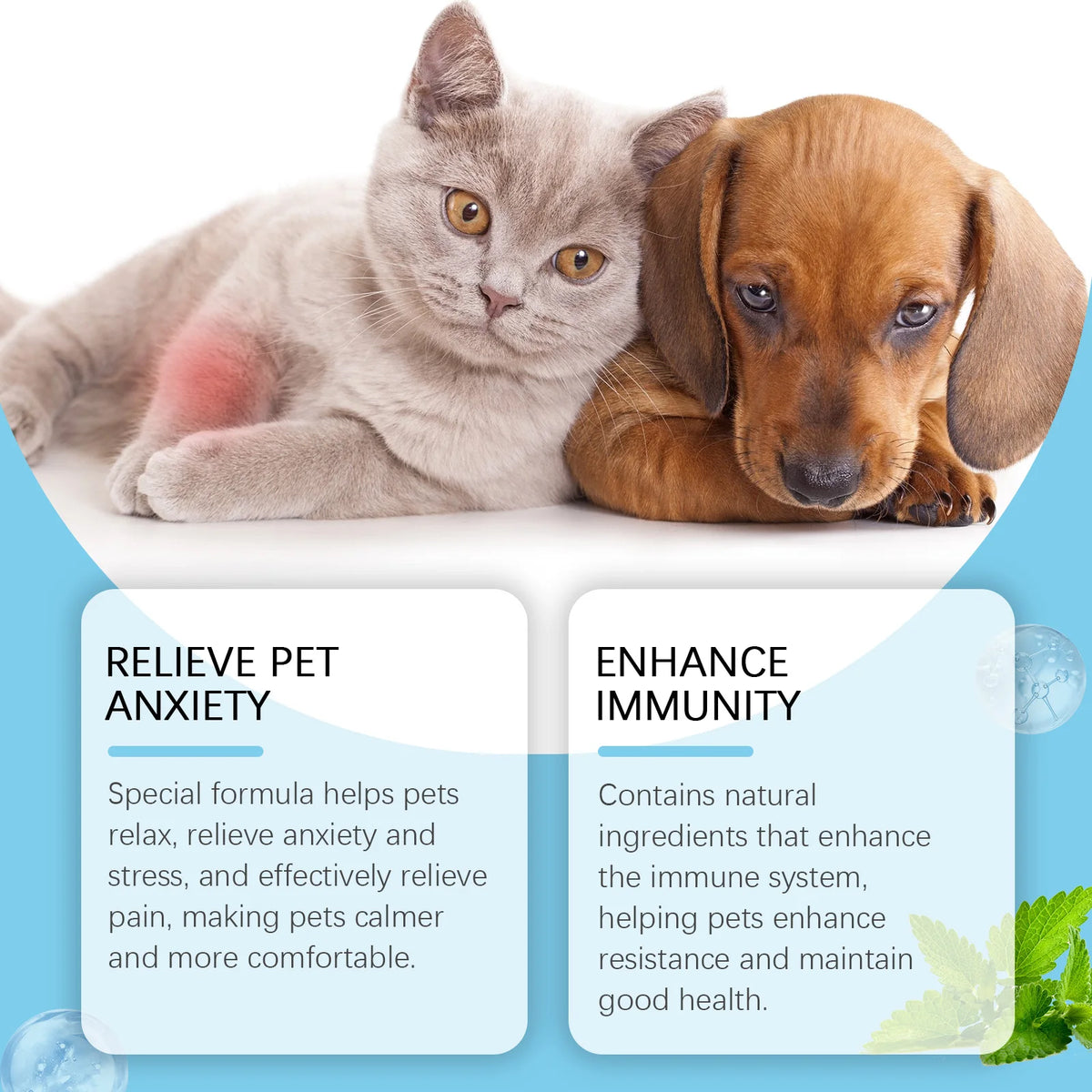 🛡️ Pet Immunity Boost Drops for Dogs & Cats