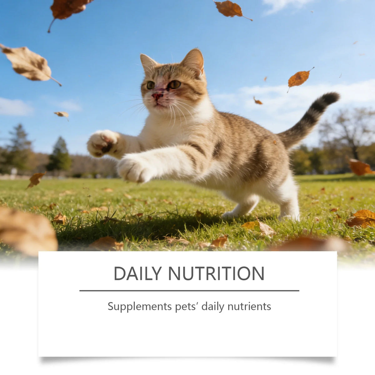 ❤️ Cat Health Powder Taurine & Multivitamin