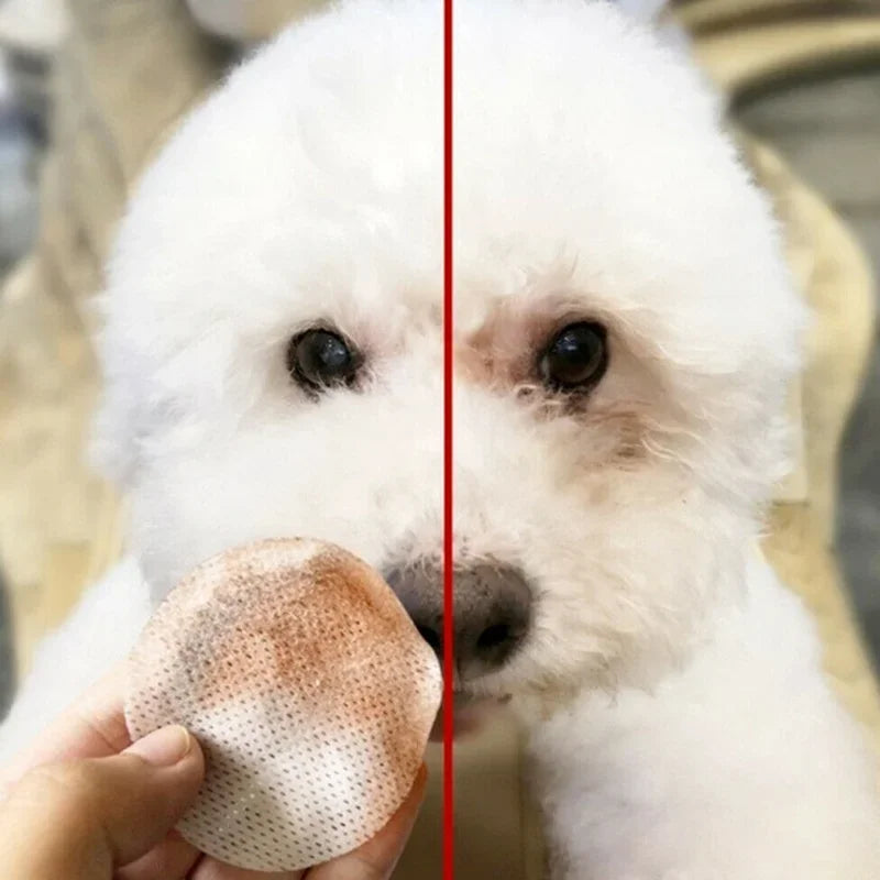 130PCS Pet Eye Cleaning Wipes & Tear Stain Remover 🐶🐱✨