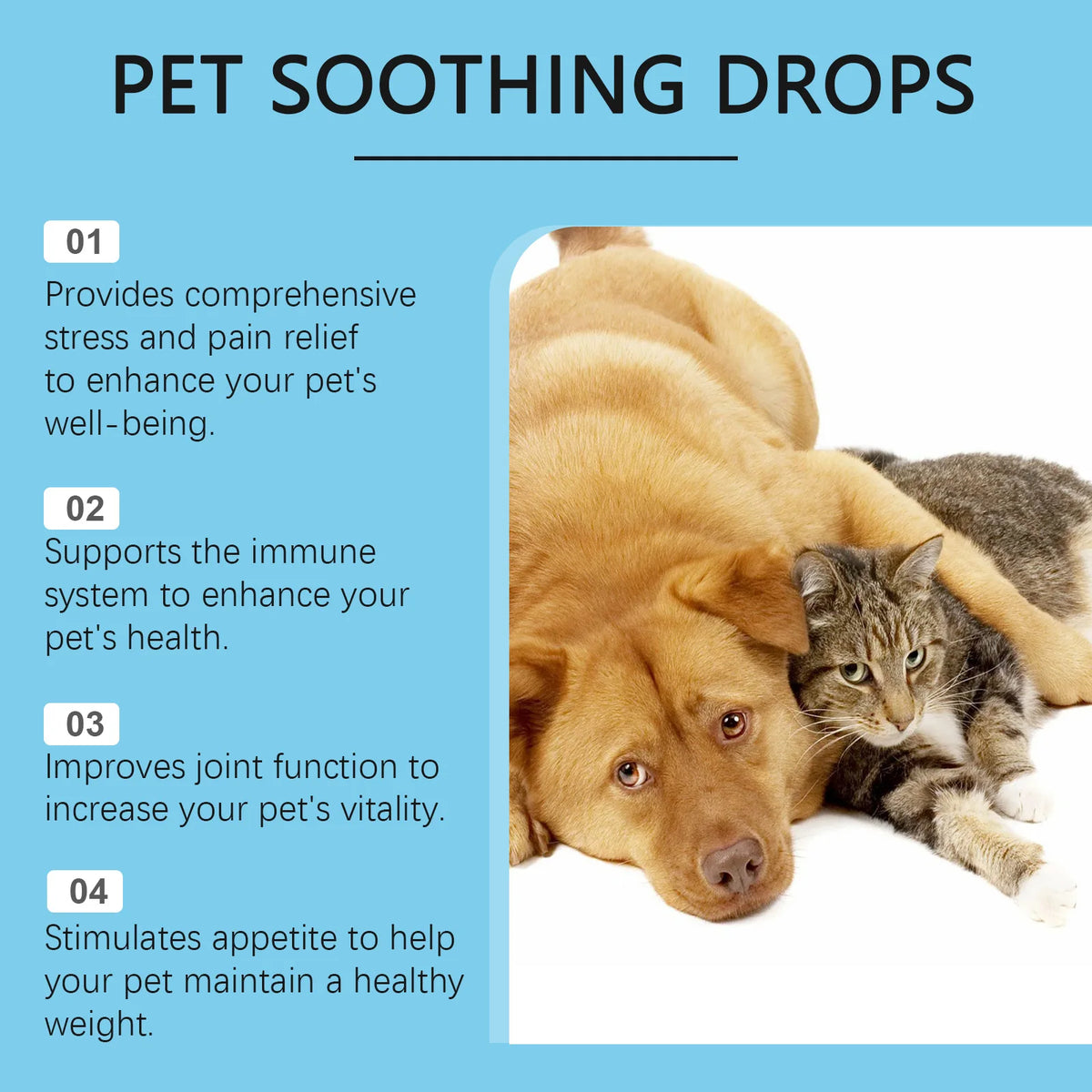 🛡️ Pet Immunity Boost Drops for Dogs & Cats