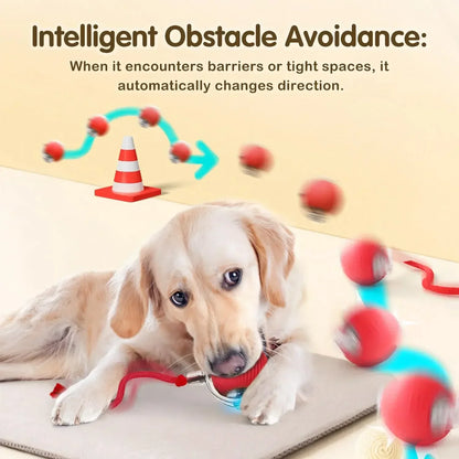 Smart Automatic Rolling Ball Toy for Cats 🐱⚡🎾