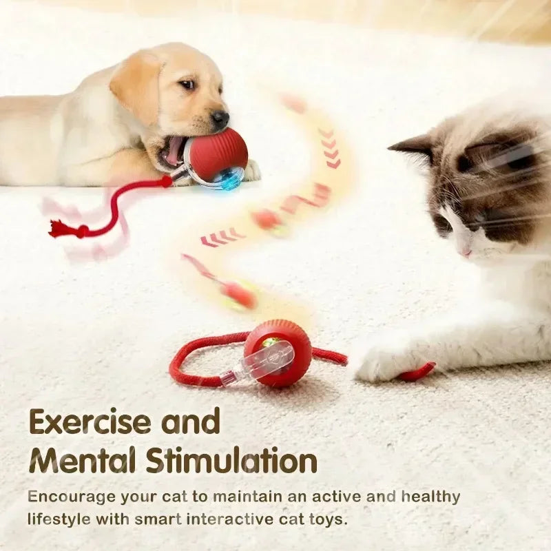 Rechargeable Smart Interactive Ball Toy for Cats 🐱⚡