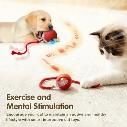 Rechargeable Smart Interactive Ball Toy for Cats 🐱⚡