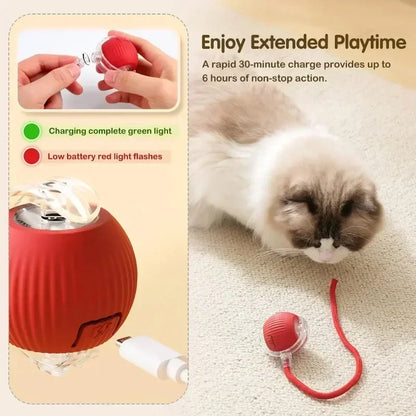 Rechargeable Smart Interactive Ball Toy for Cats 🐱⚡