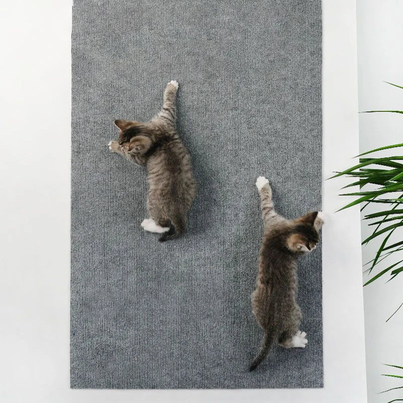 Self-Adhesive Cat Scratching Mat & Furniture Protector 🐱🛋️✨