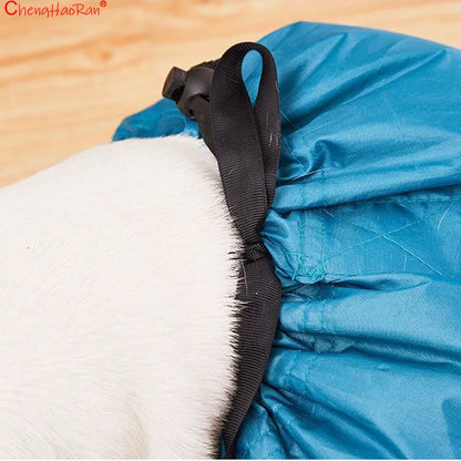 Pet Drying Bag for Cats & Dogs 🐱🐶💨✨