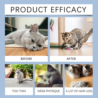 Cat Vitamin Care Drops – 50ml Daily Nutrition Supplement 🐱💧✨
