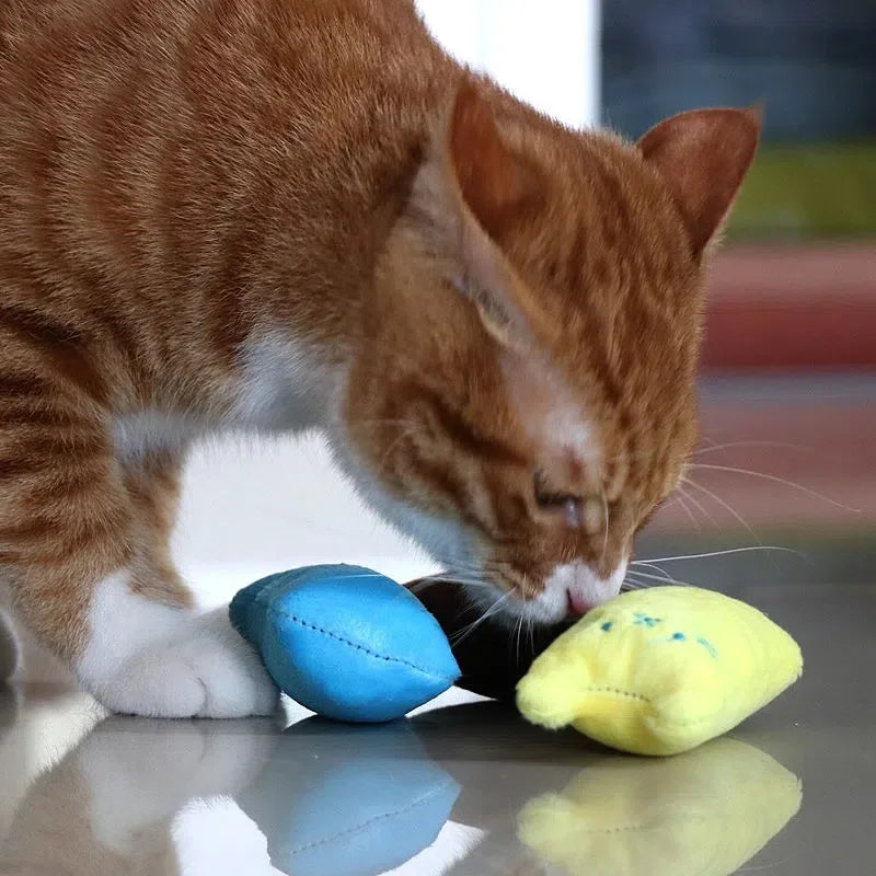Cat Teaser Toy with Squeaky Plush Pillow 🐱✨