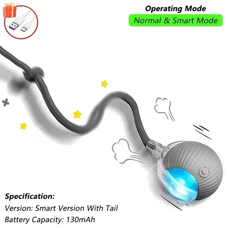 Rechargeable Smart Interactive Ball Toy for Cats 🐱⚡