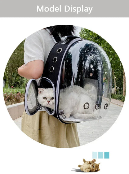 Portable Transparent Bubble Pet Carrier Backpack 🐱🎒✨