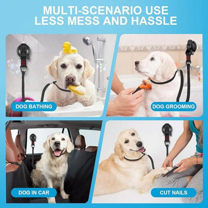 Adjustable Pet Grooming Loop & Bathing Restraint 🐶🐱🛁✨
