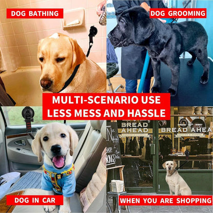 Adjustable Pet Grooming Loop & Bathing Restraint 🐶🐱🛁✨