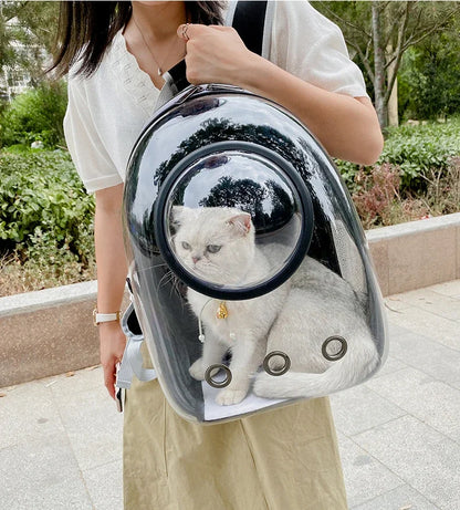 Portable Transparent Bubble Pet Carrier Backpack 🐱🎒✨