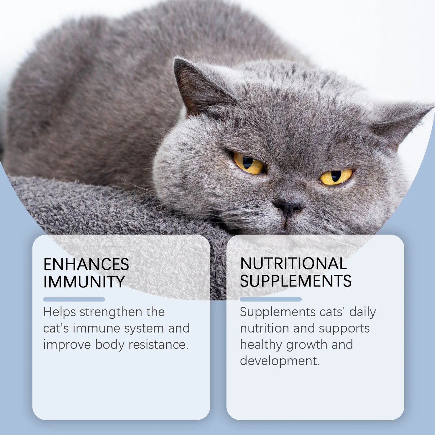 Cat Vitamin Care Drops – 50ml Daily Nutrition Supplement 🐱💧✨