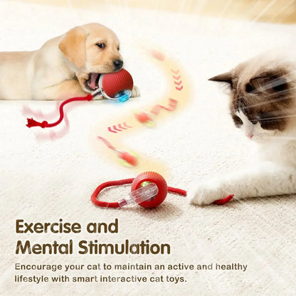 Rechargeable Smart Interactive Ball Toy for Cats 🐱⚡